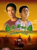 战破星河：探索星际战斗的无尽可能